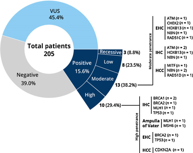 Figure 1. Germline testing results.