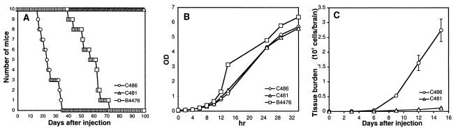 FIG. 4.