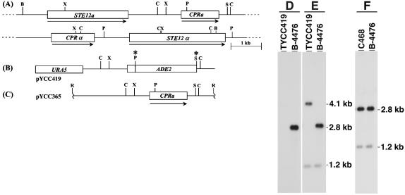 FIG. 1.