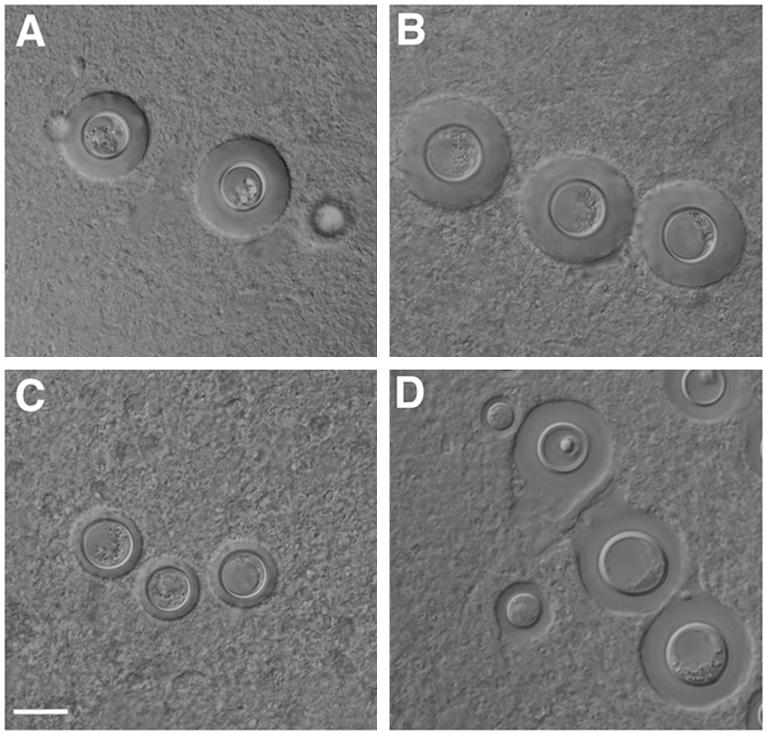 FIG. 6.