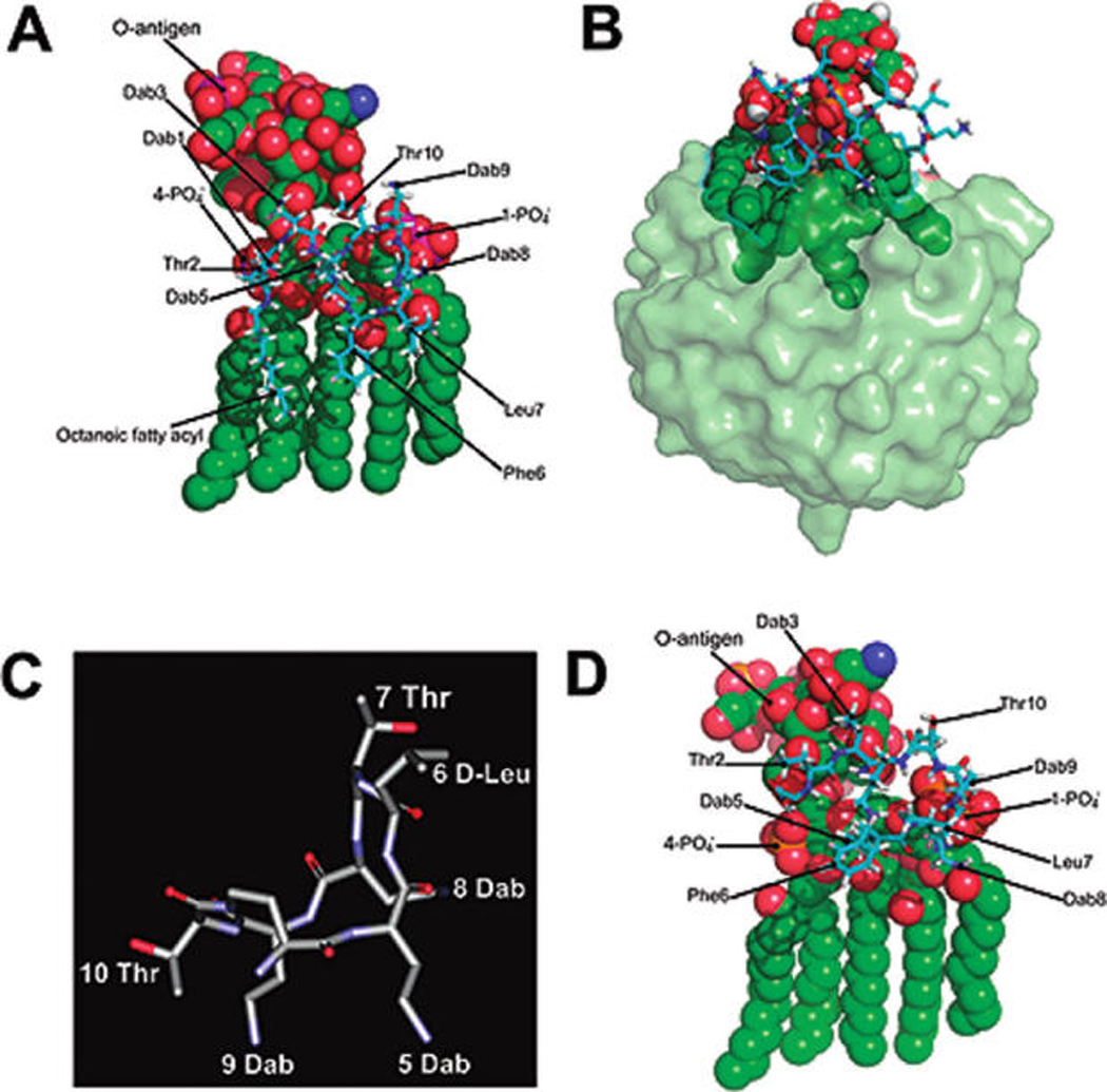 Figure 5