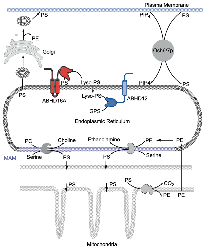 Figure 9