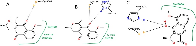 Fig. 2