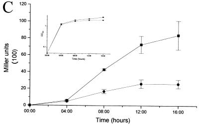 FIG. 1