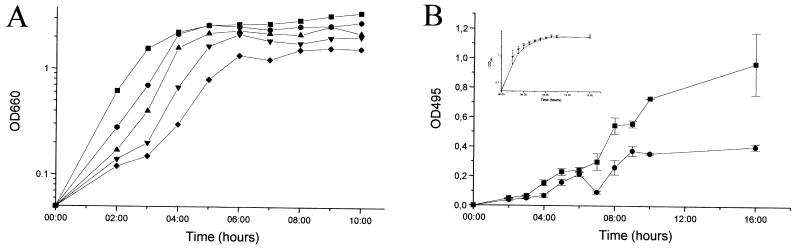 FIG. 1