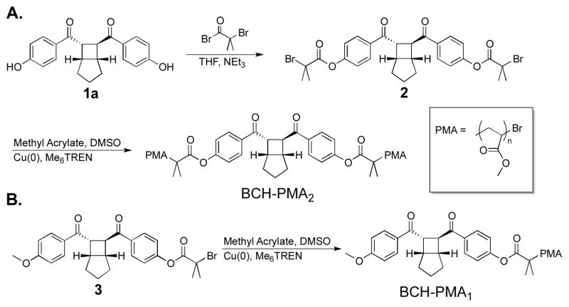 Scheme 1