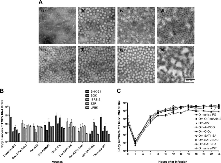 FIG 2