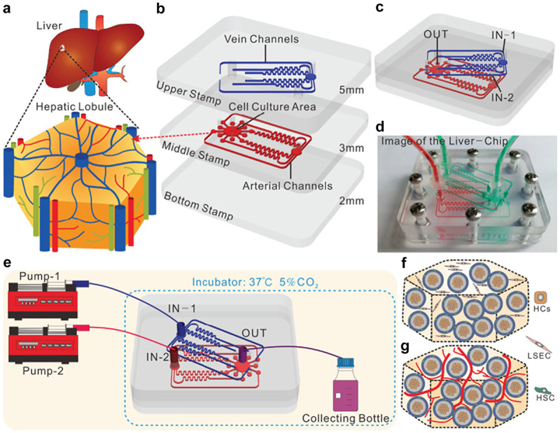 Figure 10.