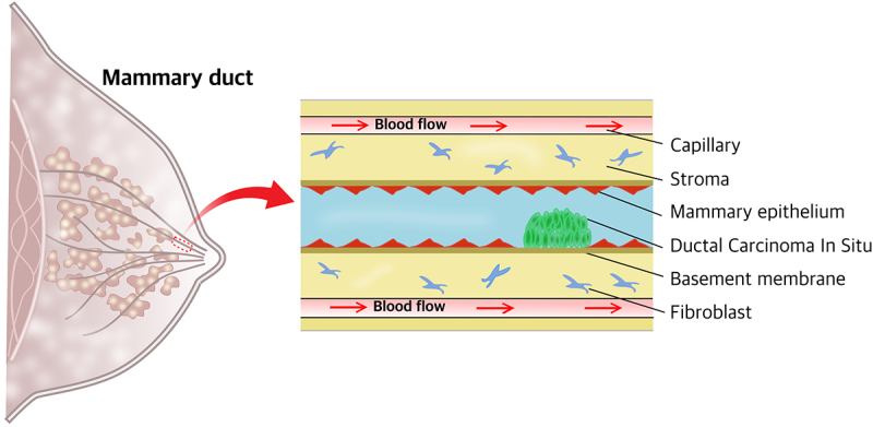 Figure 12.