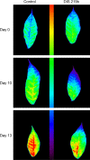 Fig. 2.
