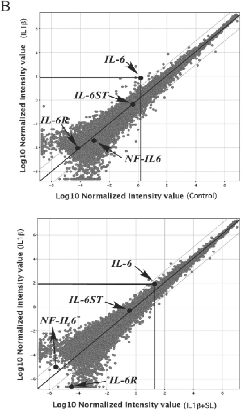 Fig. 2B: