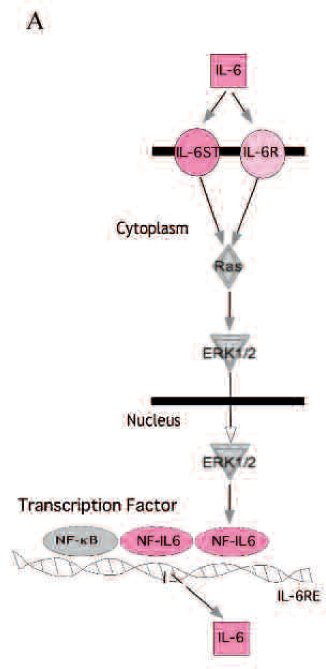 Fig. 2A: