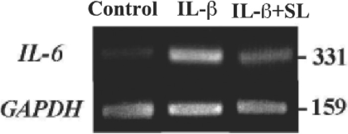 Fig. 3: