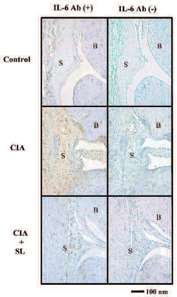 Fig. 6: