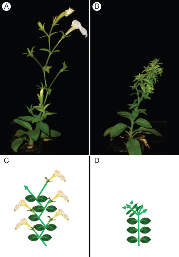 Fig. 3.