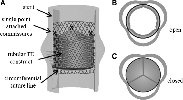 FIG. 1.