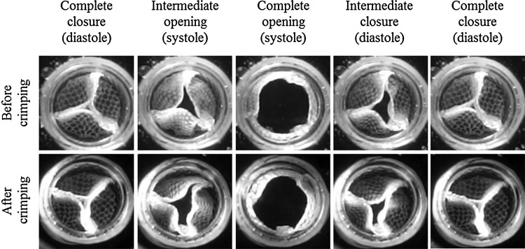 FIG. 4.