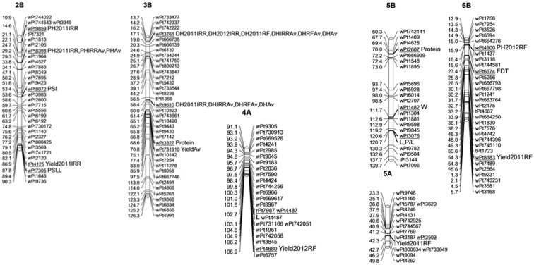 Fig 5