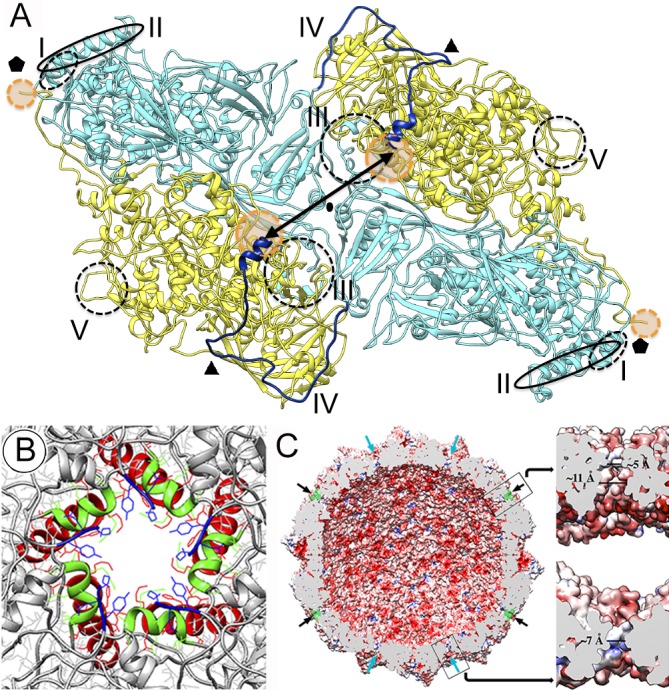 Fig 6