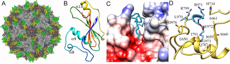 Fig 5