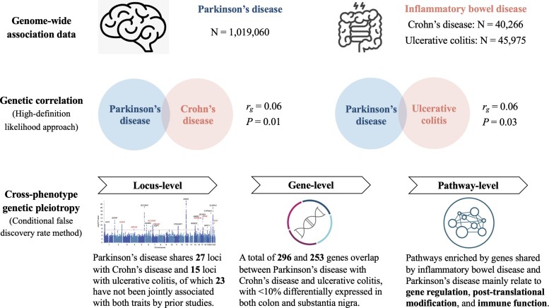 Graphical abstract