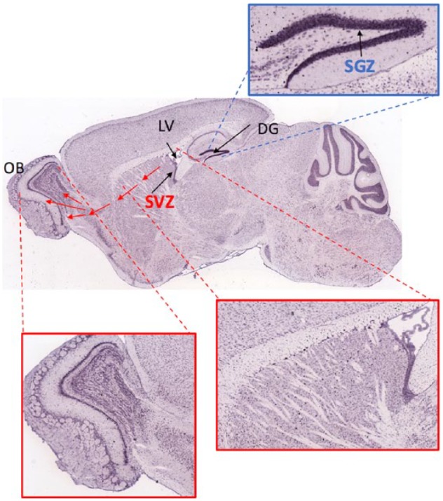 Figure 3.