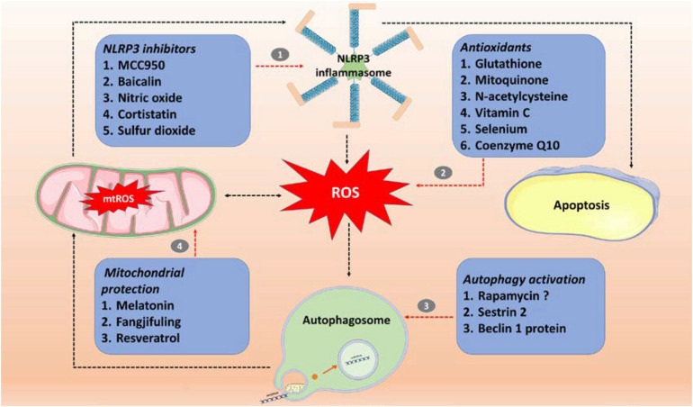 FIGURE 2