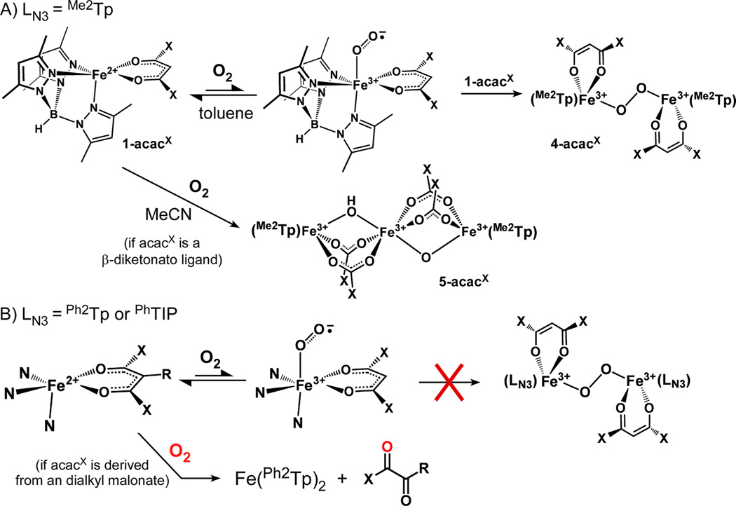 Scheme 2