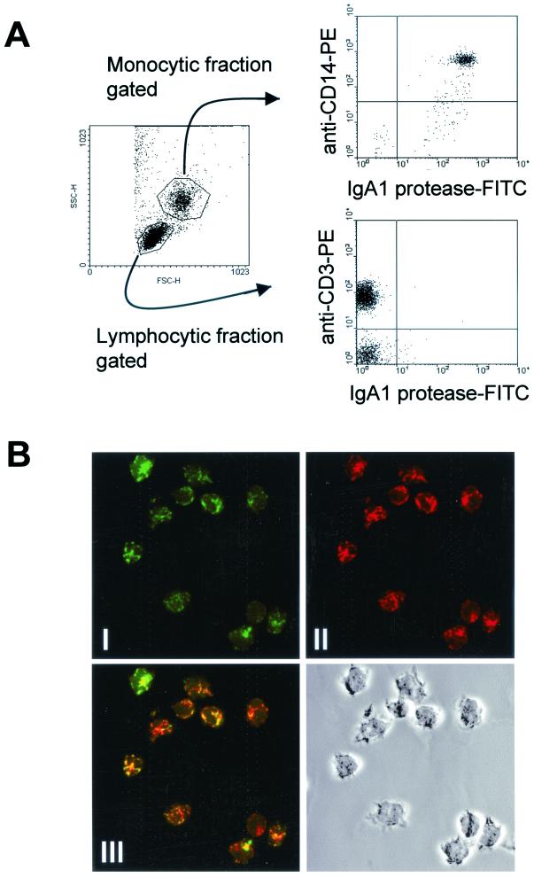 FIG. 4