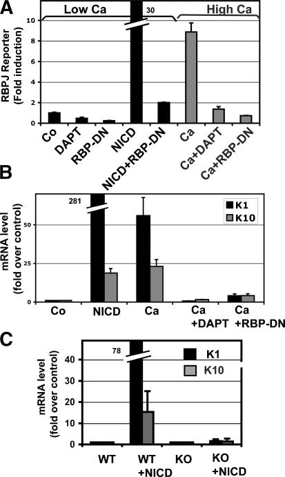 Figure 6.