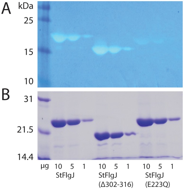 Fig 3