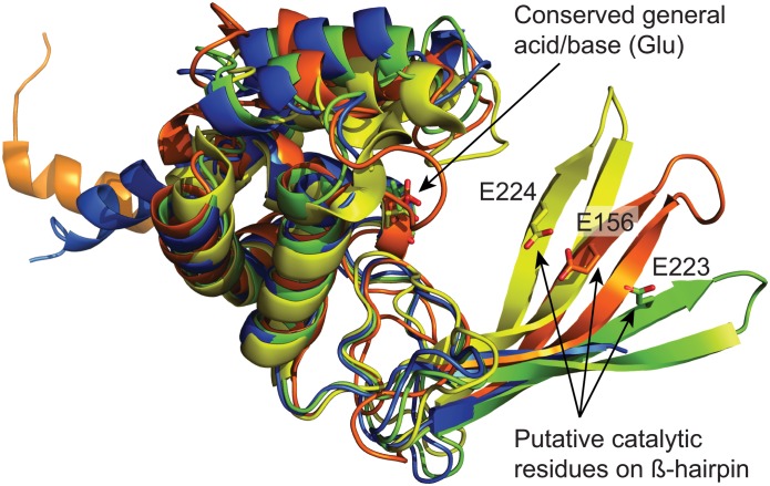 Fig 5