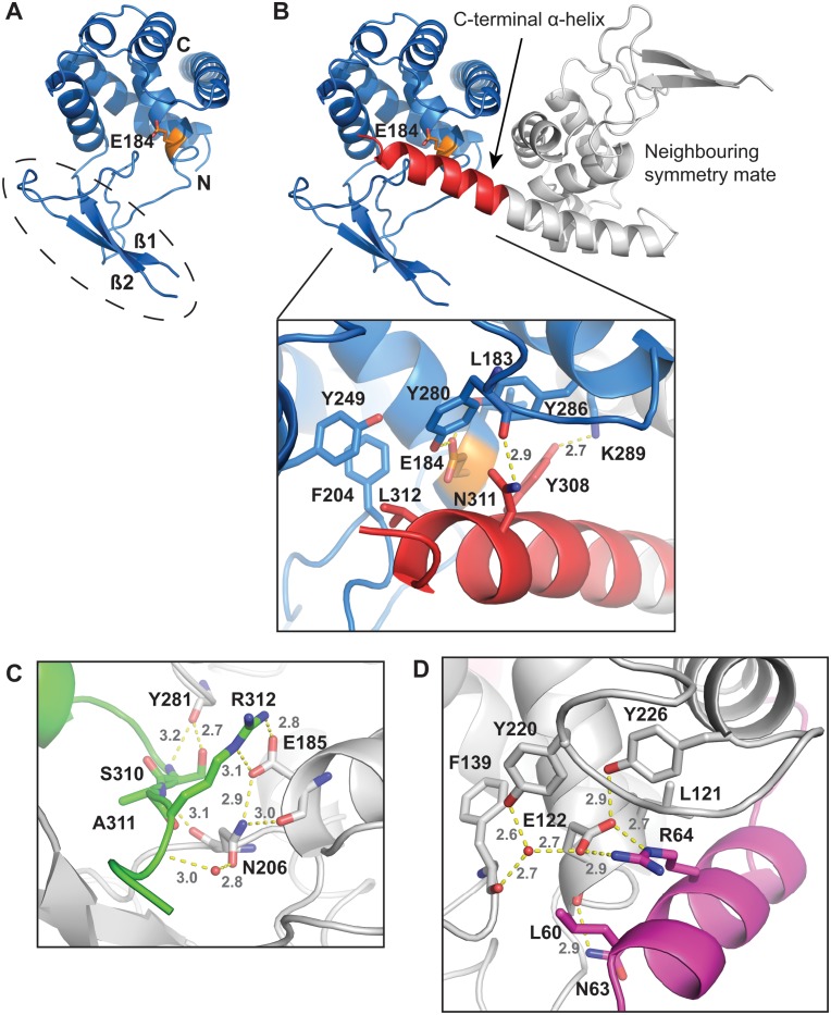 Fig 1