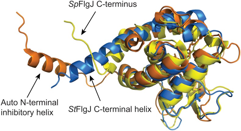 Fig 2