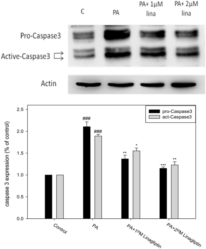 Fig 8