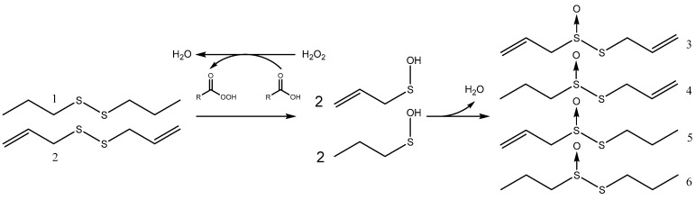 Scheme 2