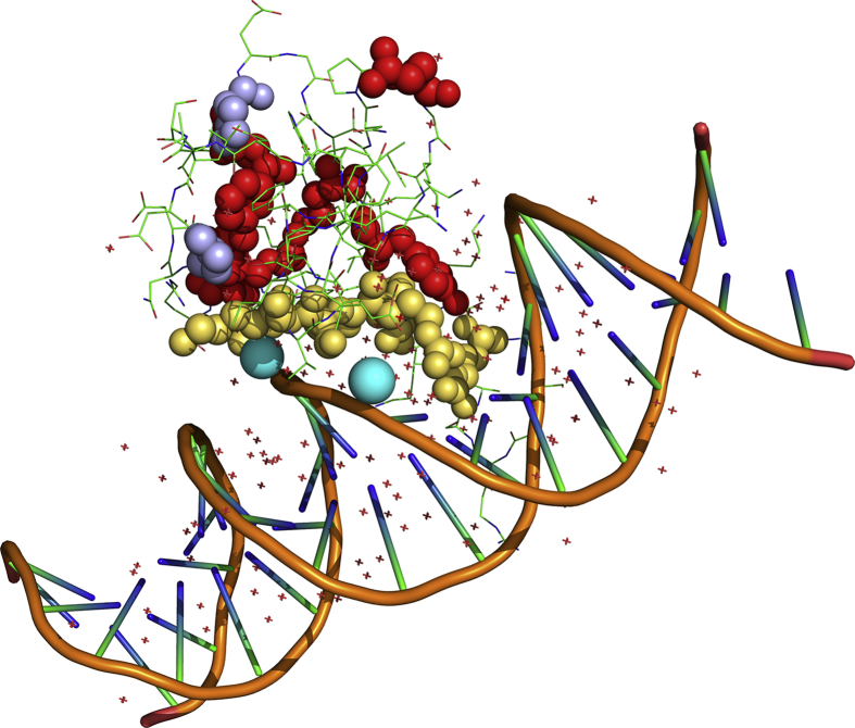 Figure 3