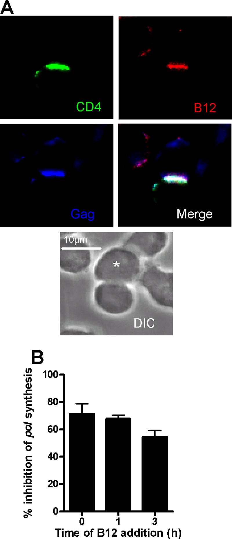 FIG. 6.