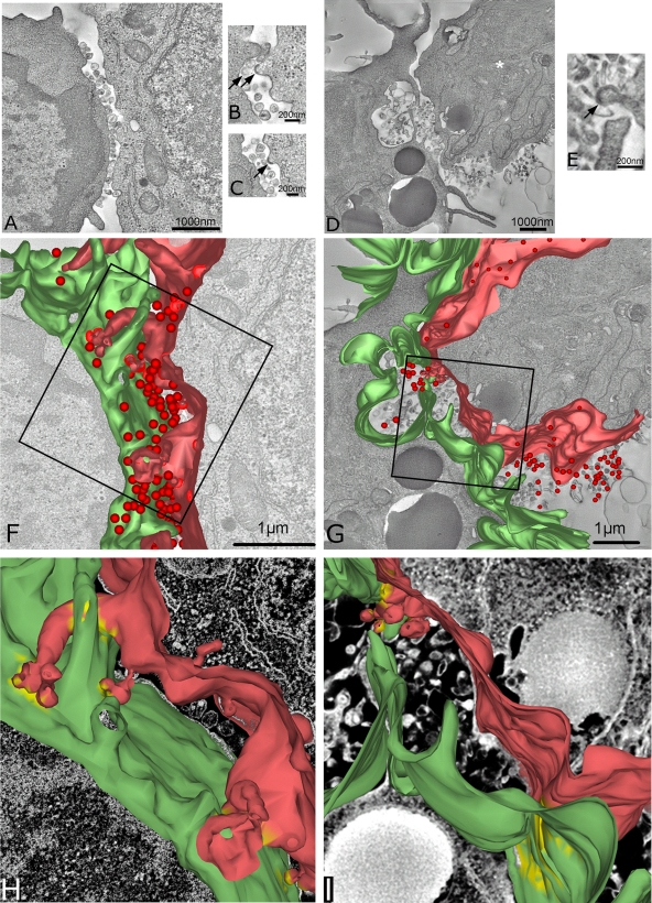 FIG. 7.