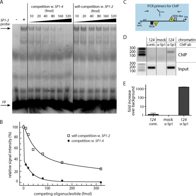 FIG 2