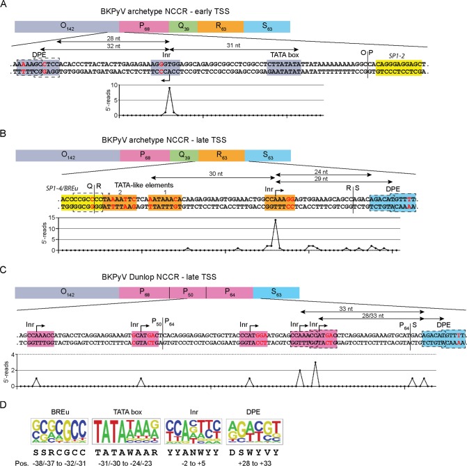 FIG 6