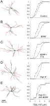 Figure 5.