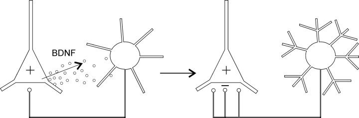 Figure 8.