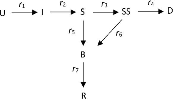 Fig. 1