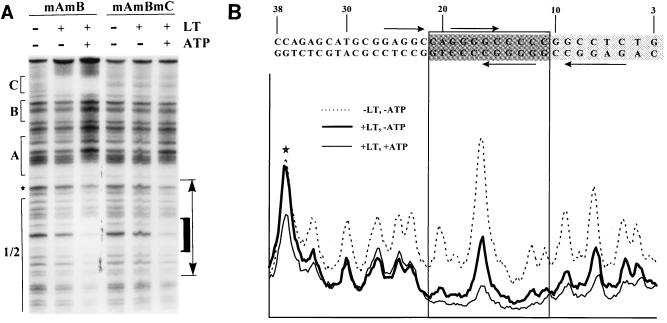 FIG. 7