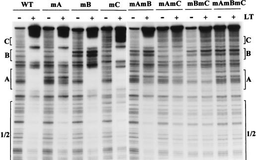 FIG. 6