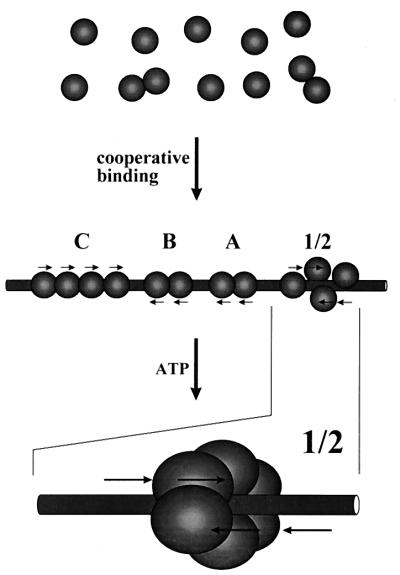 FIG. 9