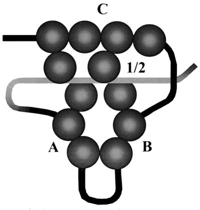 FIG. 8