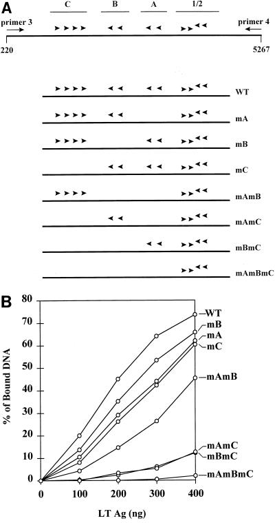 FIG. 5