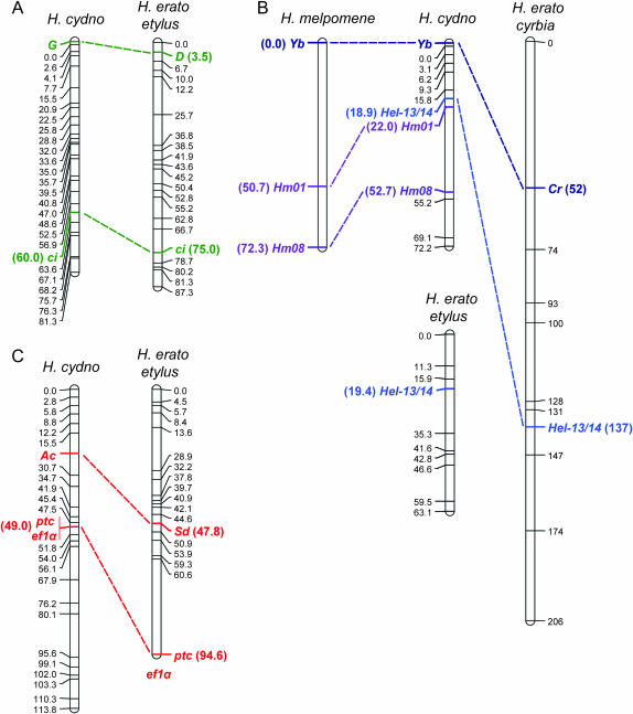 Figure 2.—